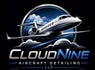 Cloud Nine Aircraft Detailing