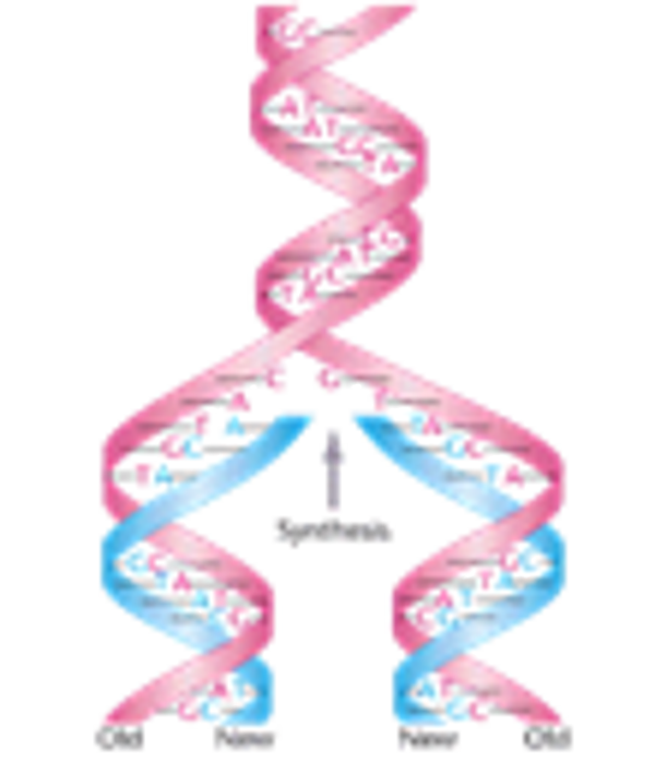 thuisstudie - DNA, mRNA en gemmotherapie