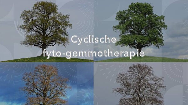 à la carte online Cyclische gemmo-fytosociologie
