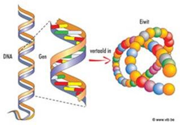 à la carte online masterclass DNA, mRNA en gemmotherapie