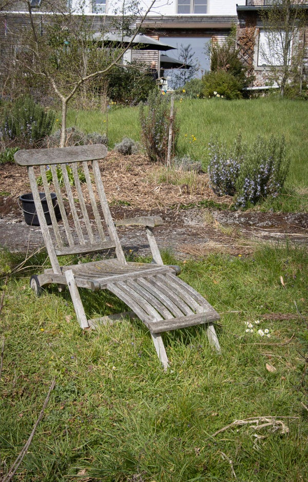 Verhalen in de tuin: over bomen en boomknoppen