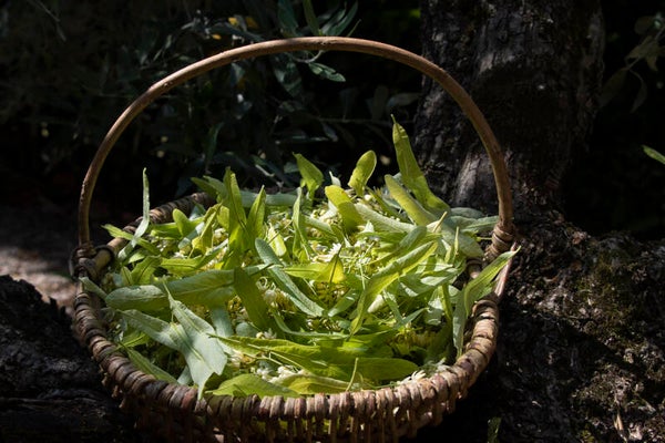 workshop 15/07/2026 Natuurlijke remedies voor een heerlijke nachtrust