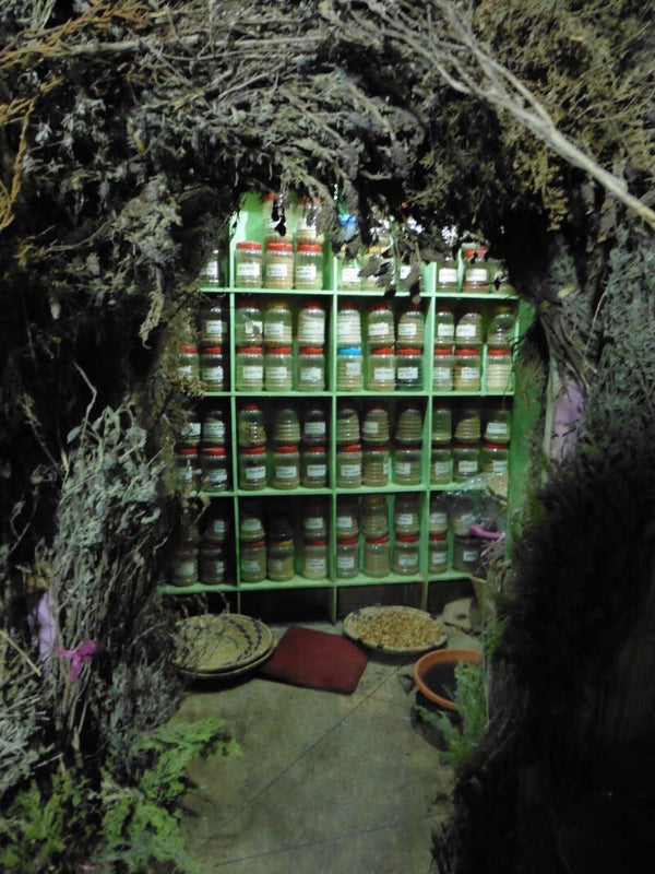 online Specerijen voor de gezondheid 12 en 26/02/2026