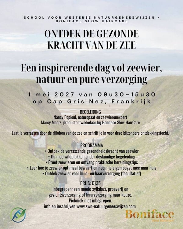 Zeewieren, ontdek de gezonde kracht van de zee