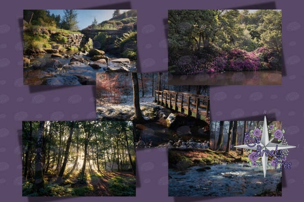 Postcard set