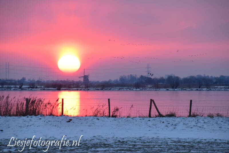 12-2-2021Zon-sneeuw12.jpg