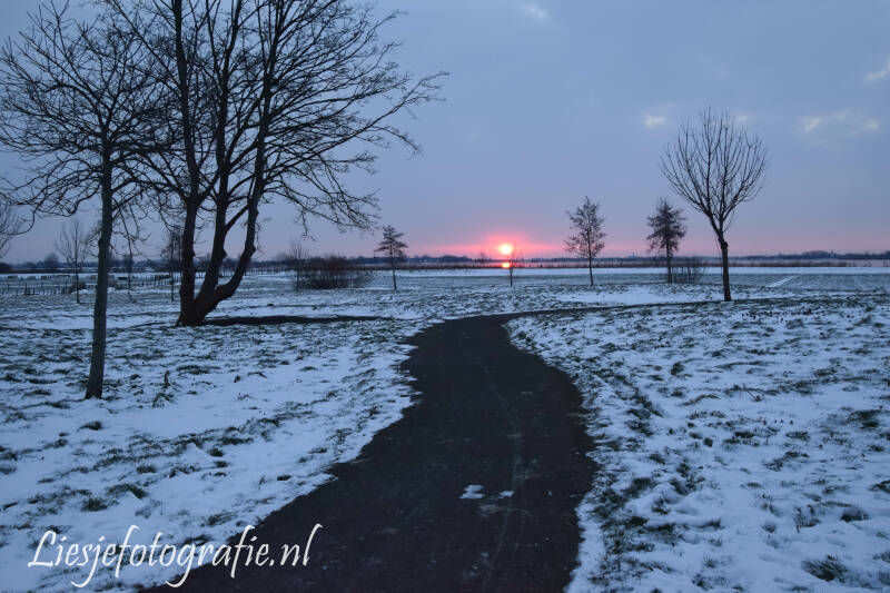 12-2-2021Zon-sneeuw17.jpg