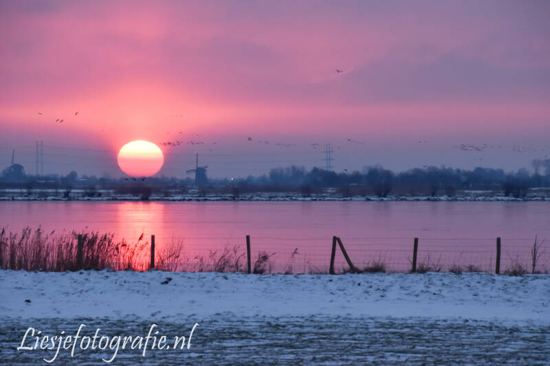 12-2-2021Zon-sneeuw9.jpg