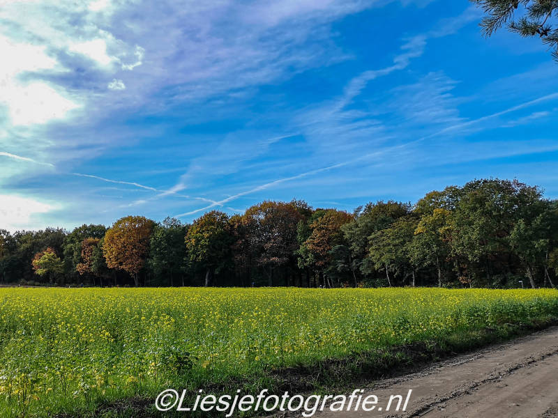 26-10-2019WandelingEde6.jpg