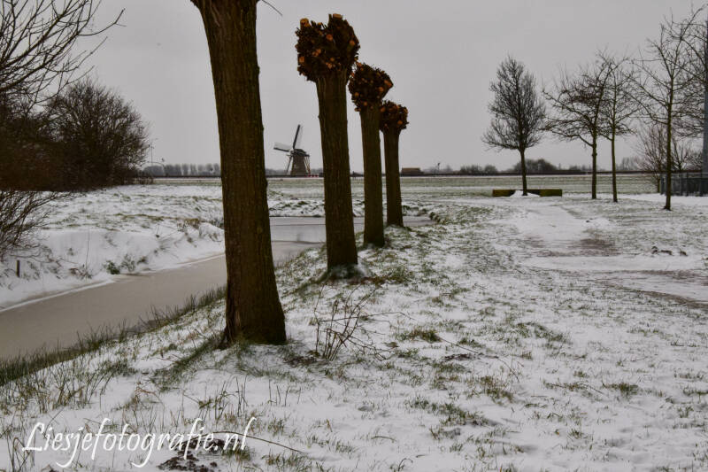 8-2-2021Sneeuw20.jpg