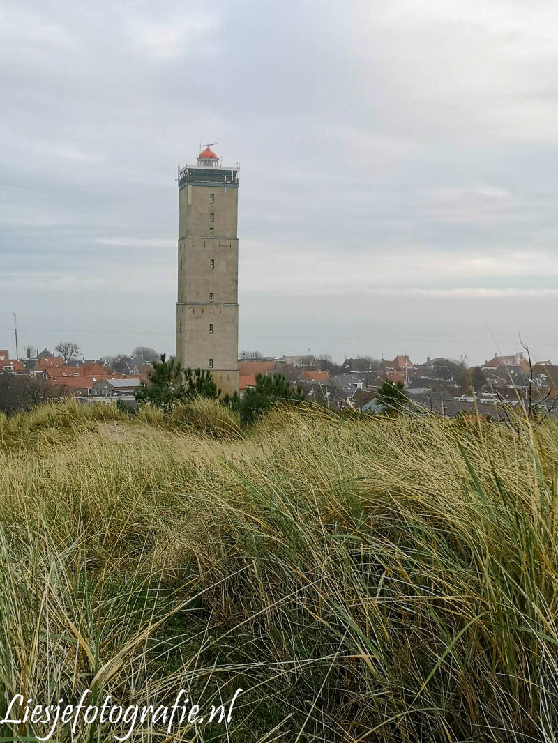 terschelling20212.jpg