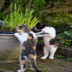 E2116693-B378-4C7F-B907-68002BF0805A.jpeg