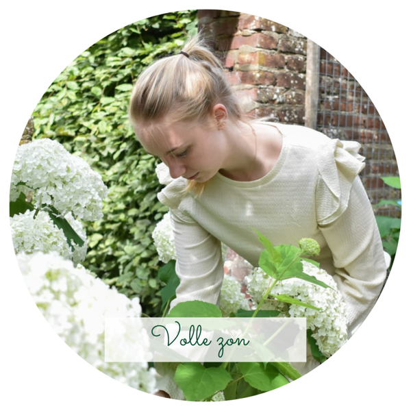 Plantengids volle zon