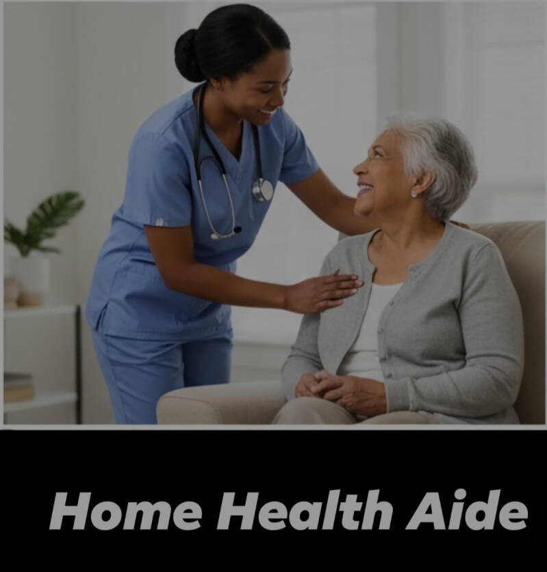 Dual Certification Training at Healing Healthcare Training Institute in Eastpointe, MI