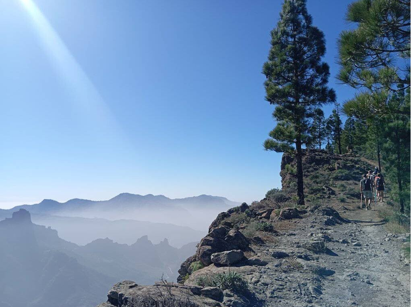 DolfijnTrip Gran Canaria