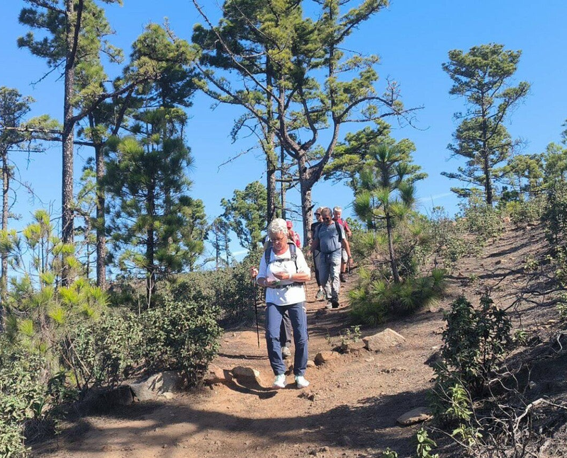 Hiking Gran Canaria