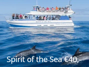 Dolfijnen Boottrip Gran Canaria