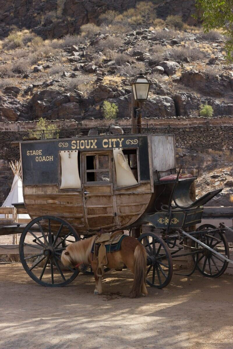 DolfijnTrip Gran Canaria