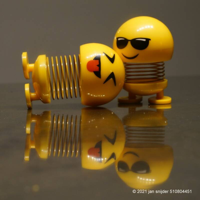 20201127-1744JPG.jpg Gevallen