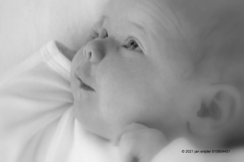 DSC03510BW-1.jpg Baby