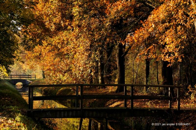 DSC5127JPG.jpg Hoge Holt