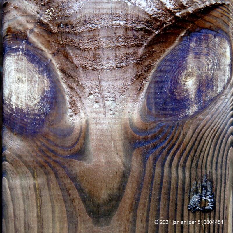 DSC7162JPG.jpg Noest