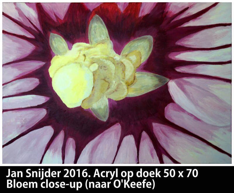 JanSnijder-NaarOKeeft-Bloem-201611111399-2-JPG.jpg