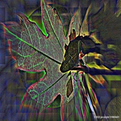 _dsc7833gemanipuleerd.jpg