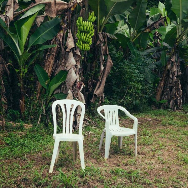 Bad Bunny – Debí Tirar Más Fotos (White Vinyl)