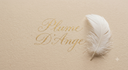Plume d'Ange
