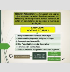 ABOGADOS PLASENCIA FAMILIA CAUSAS EXTINCION PENSION ALIMENTOS