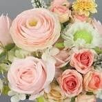 Premium Stem Upgrade