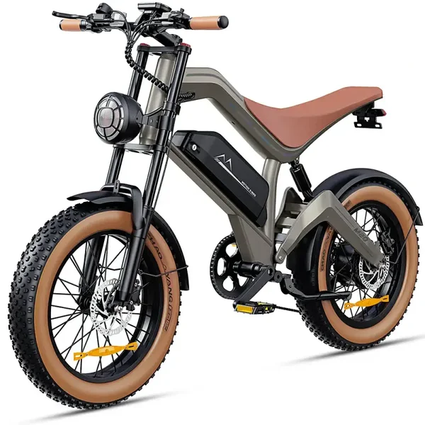 DYU M20 fatbike