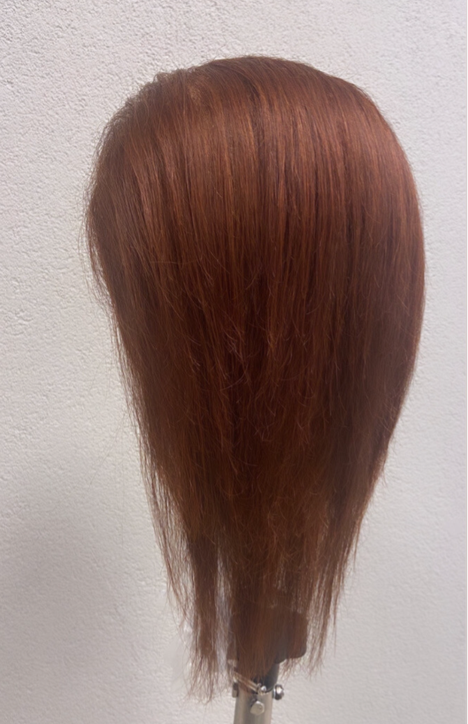 • I made my first human hair wig •  #wigs #hair #wig #hairstyles #wigmaker #hairextensions #humanhair #hairstylist #fulllacewig #naturalhair #straighthair #humanhairwigs #hairgoals #lisaschekkerman