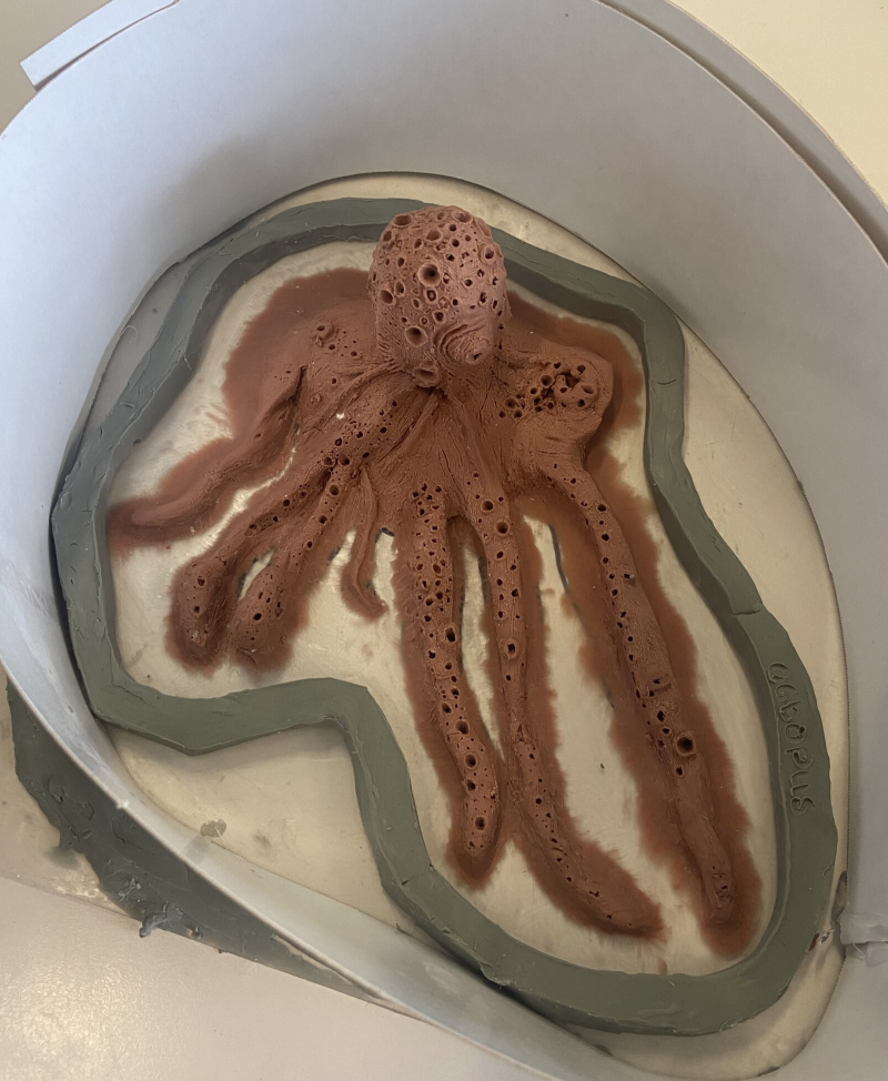 Sculpting my selfmade design Octopus and Gills. I am going to make a Silicone Prosthetic of it and Latex foam prosthetics. #specialeffects #specialeffectsmakeup #sfxmakeup #sfx #sfxmakeupartist #sfxmua #sfxartist #sfx #octopus #underwater #painting #speci
