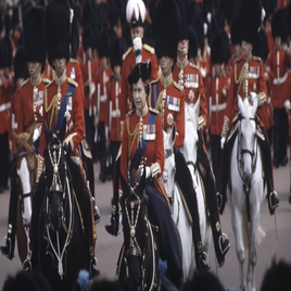 1898965127211-standard.png