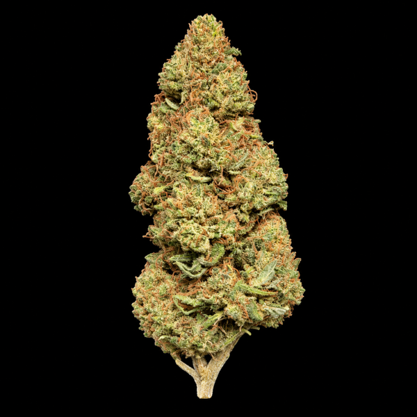 AK-47 — Fleur Boost ++
