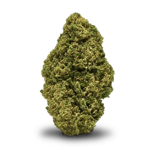 Amnesia Hydro CBD