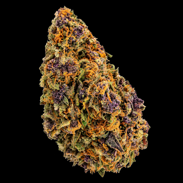 Cali Purple — Fleur Boost ++