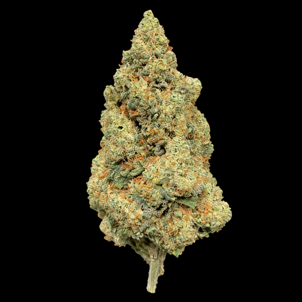 DD Amnesia — Fleur Boost ++