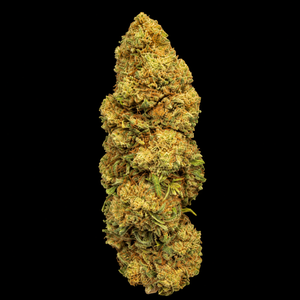 Orange Bud — Fleur Boost ++