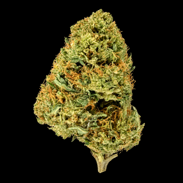 White Widow — Fleur Boost ++