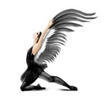 black-swan-wings-may-2016-fin-standard-uqxlcy.jpg