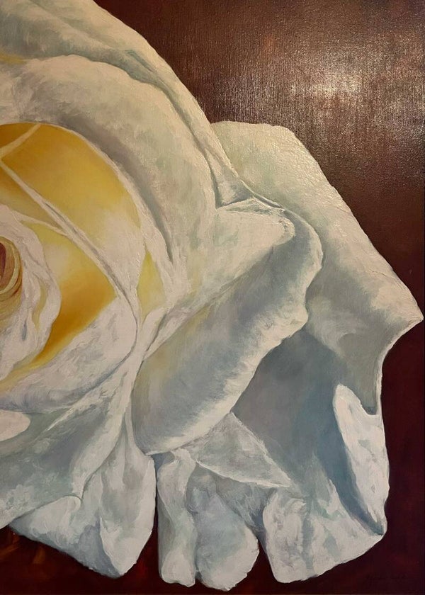 Witte roos