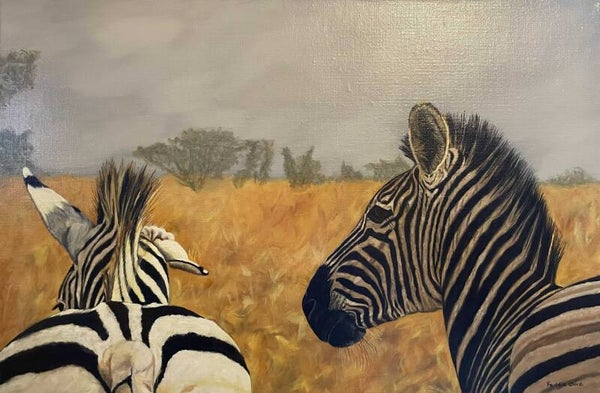 Zebra's