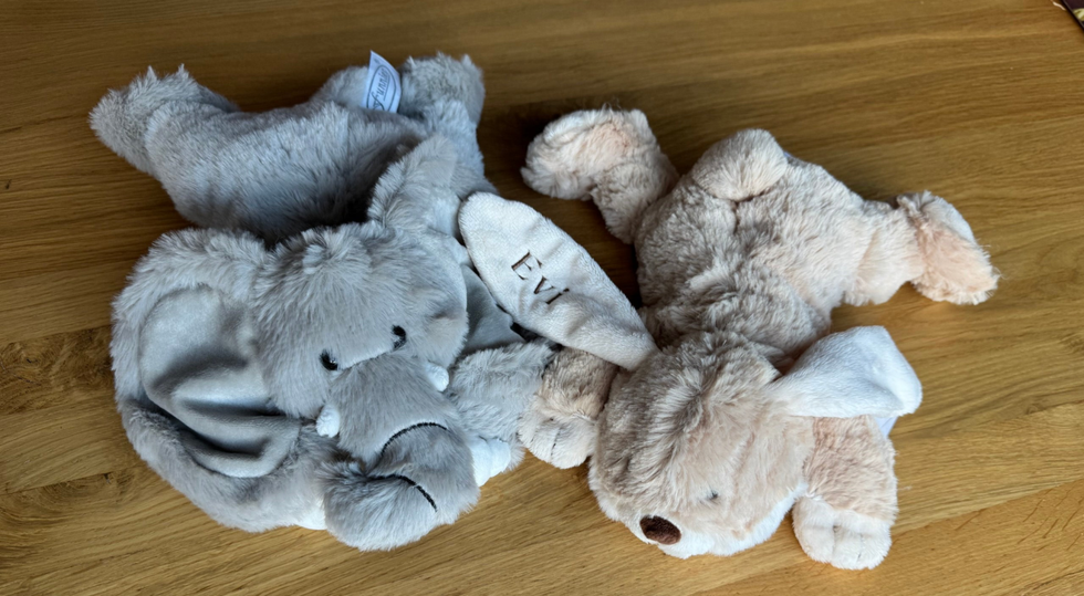 Twee zachte Funnies knuffels – een grijze olifant en een beige konijn – liggend op een houten ondergrond. Het konijn heeft de naam “Evi” geborduurd op zijn oor.