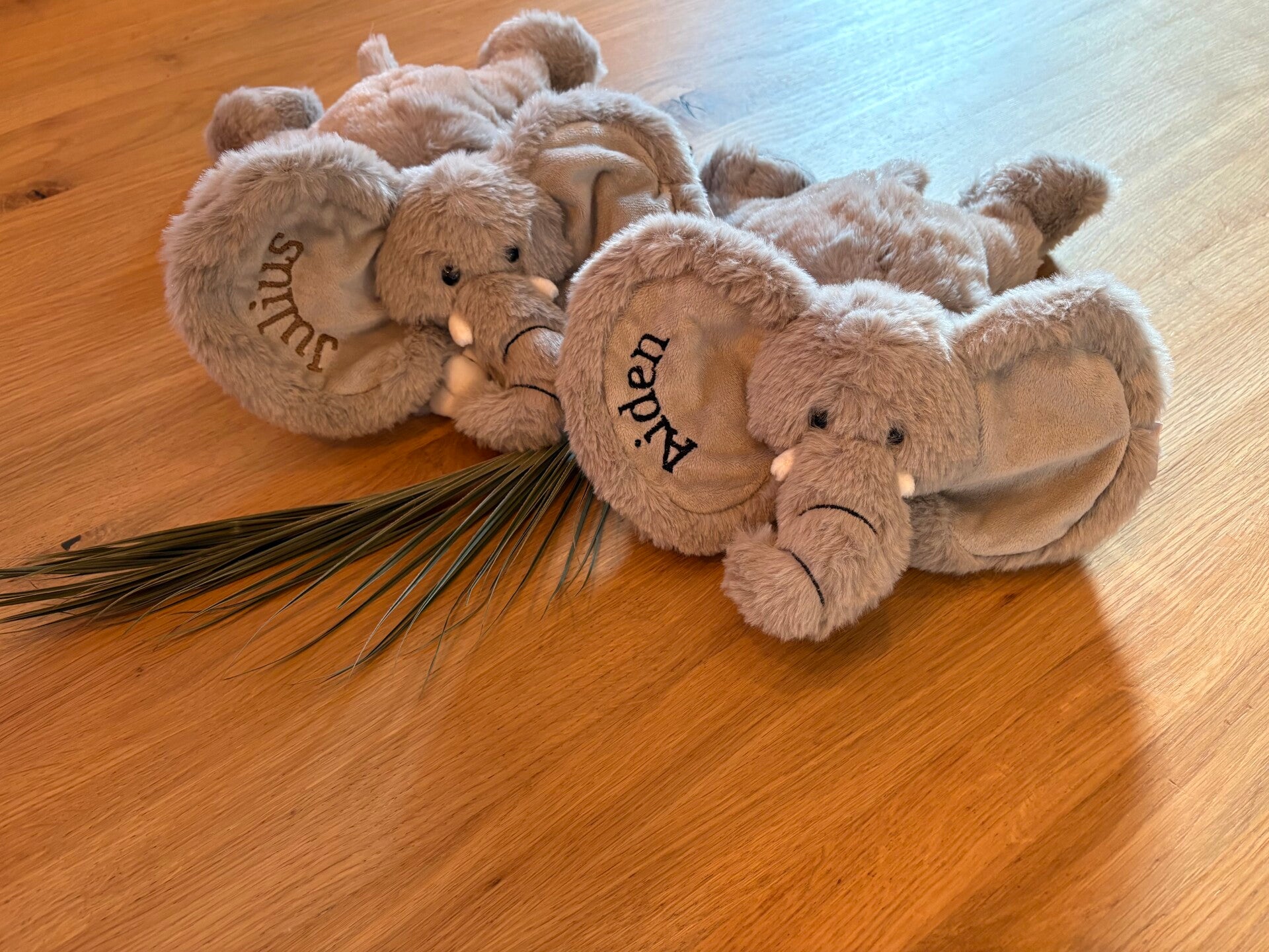 Knuffel olifant | Funnies