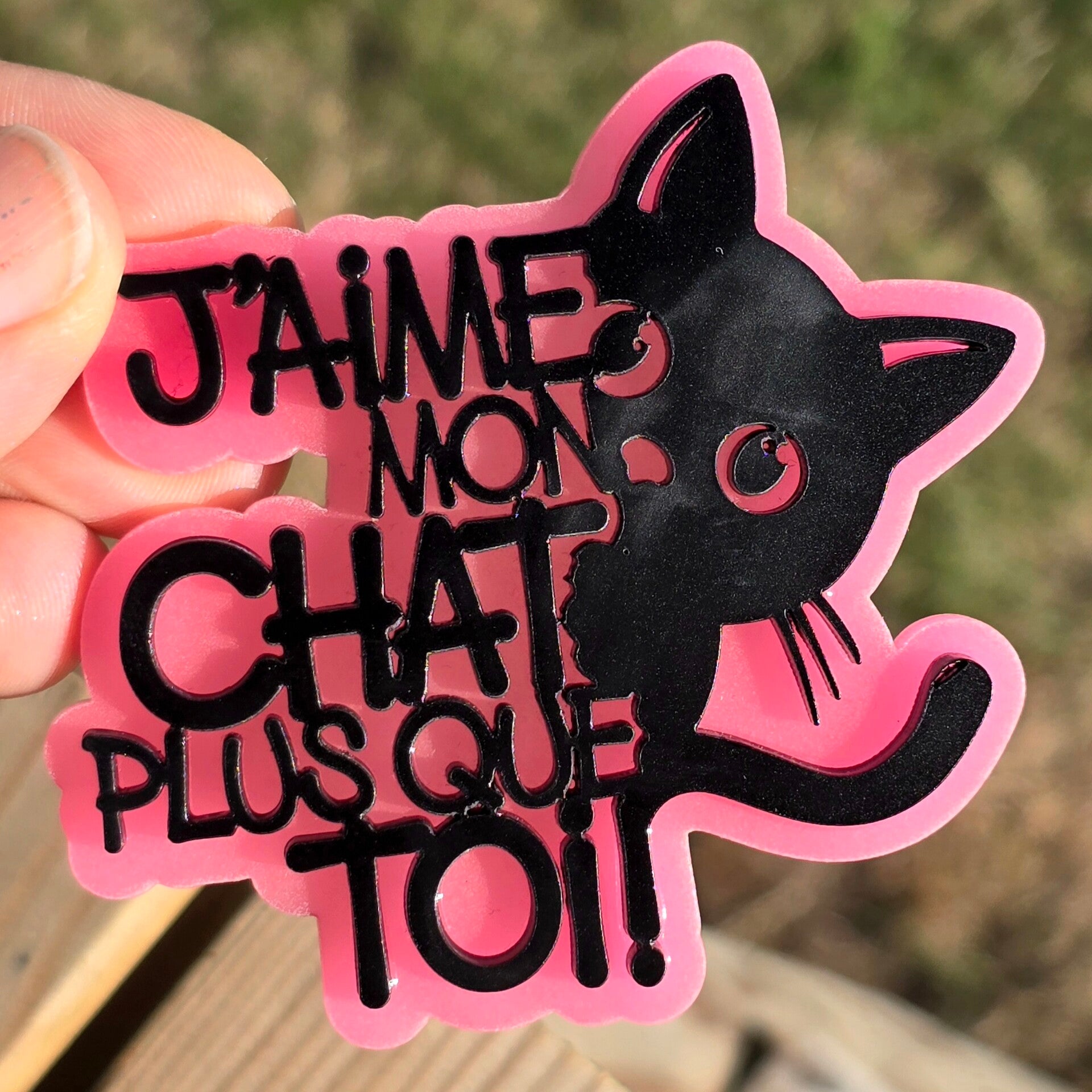J'aime mon chat plus que toi