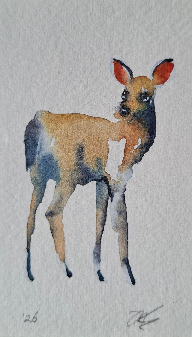 Little deer / Watercolor on paper