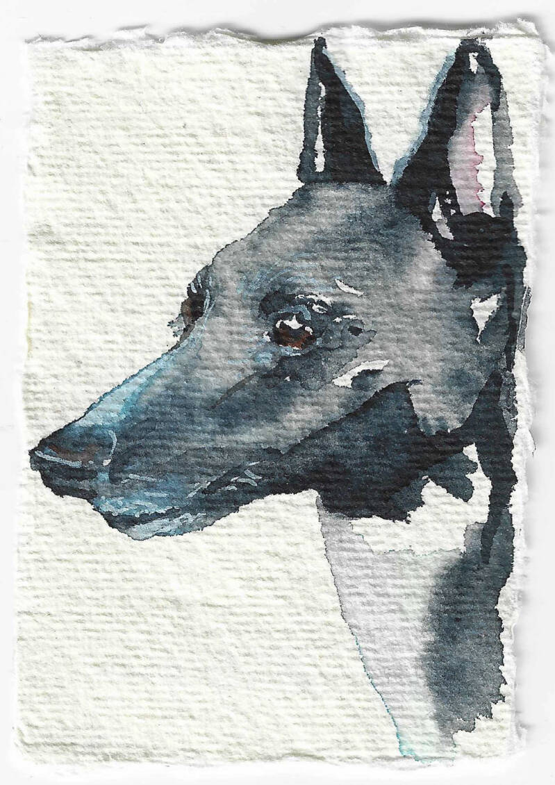 Noor / Watercolor on paper / 5 x 7,5 cm